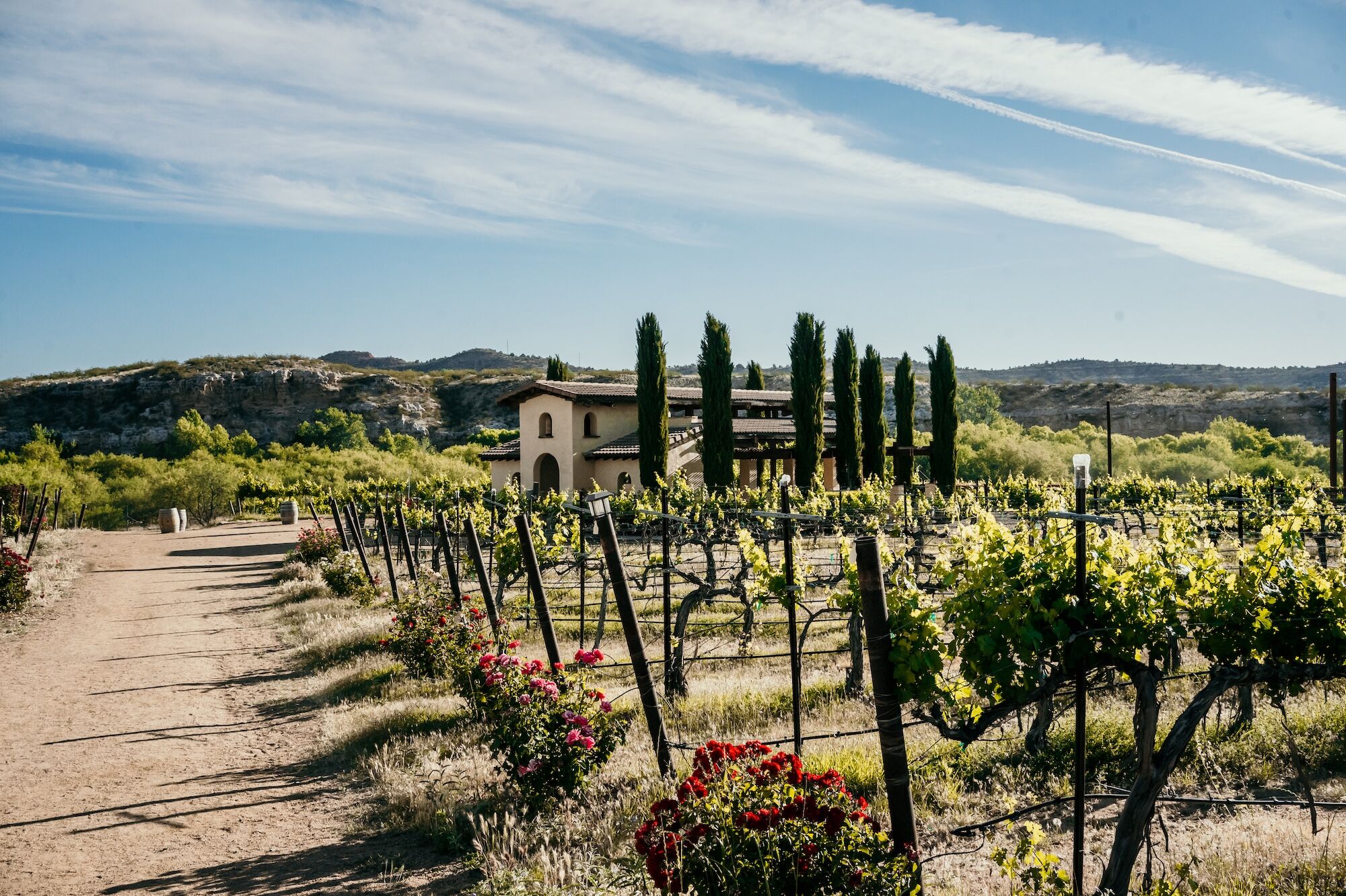Scenic vineyard with greenery, flowers, and a rustic building against rocky hills under blue sky