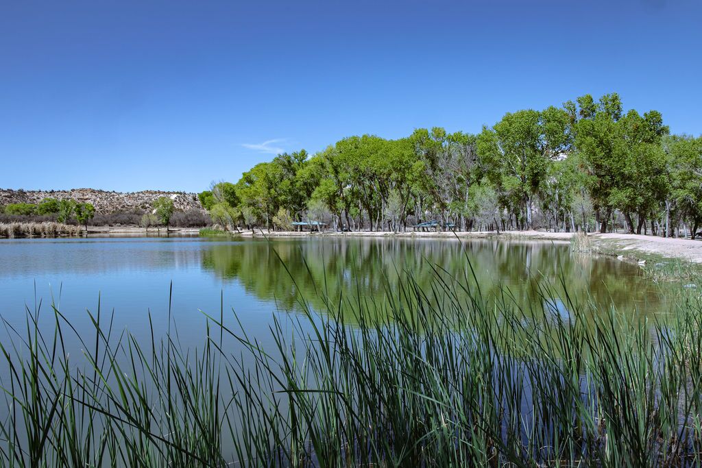 Dead Horse Ranch State Park, AZ Scenic lake surrounded by tall trees and lush greenery under clear blue sky